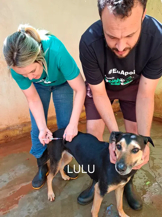 Animal resgatado pela Associação Focinho Carente, disponível para adoção em Bariri