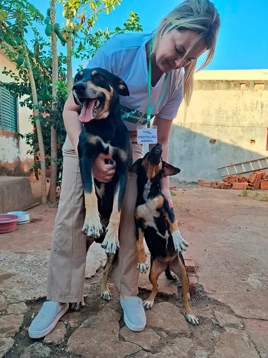 Animal resgatado pela Associação Focinho Carente, disponível para adoção em Bariri