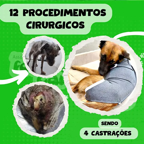 Balanço Mensal — Abril 2026 (imagem 2 de 10)