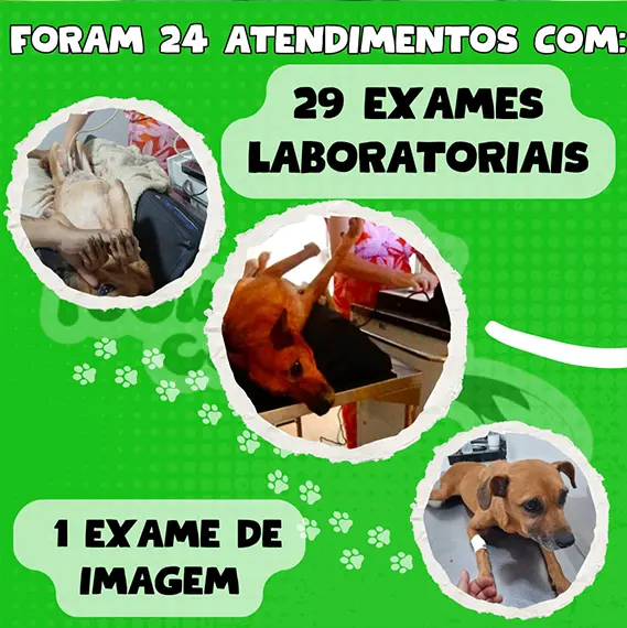 Balanço Mensal — Abril 2026 (imagem 5 de 10)