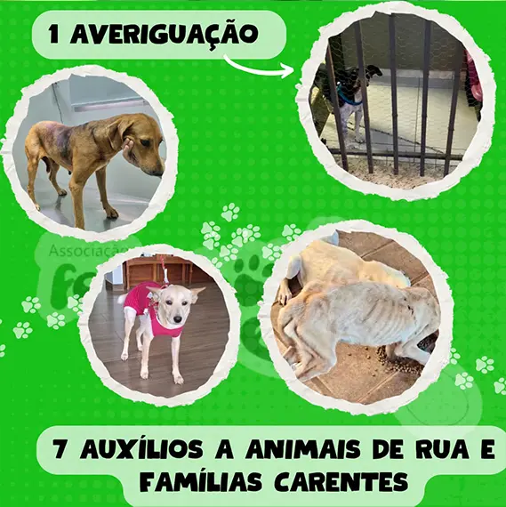 Balanço Mensal — Abril 2026 (imagem 6 de 10)