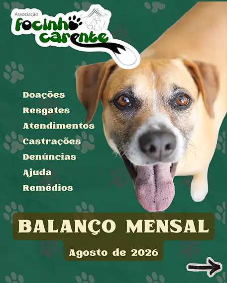 Balanço Mensal — Agosto 2026 (imagem 1 de 14)