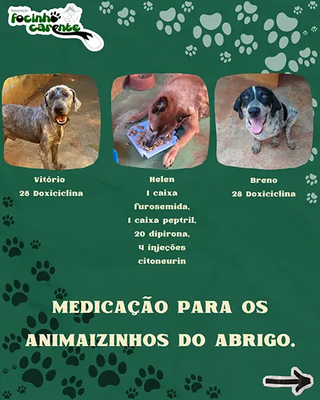 Balanço Mensal — Agosto 2026 (imagem 10 de 14)