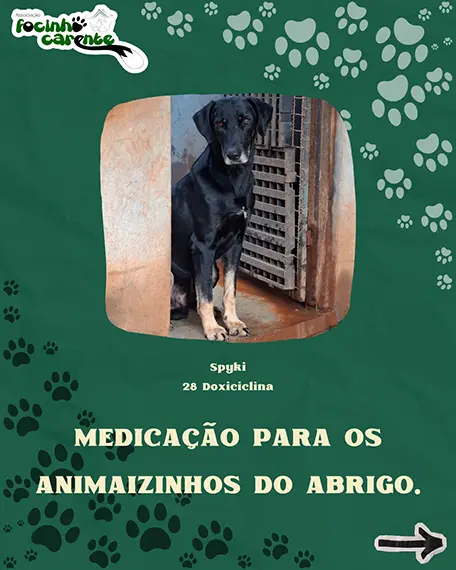 Balanço Mensal — Agosto 2026 (imagem 12 de 14)