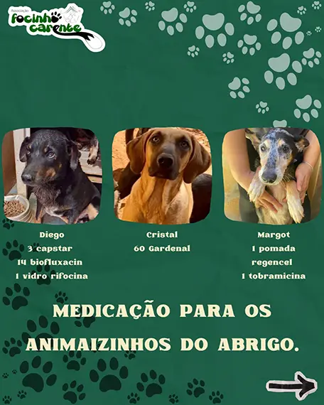 Balanço Mensal — Agosto 2026 (imagem 13 de 14)