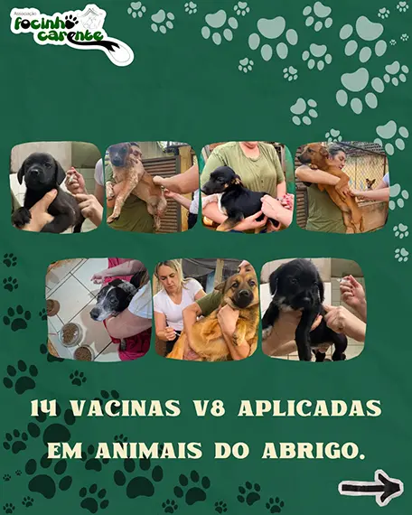 Balanço Mensal — Agosto 2026 (imagem 6 de 14)