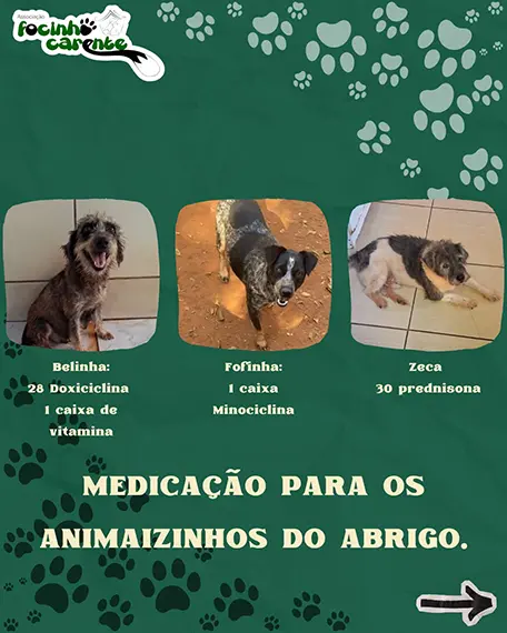 Balanço Mensal — Agosto 2026 (imagem 8 de 14)