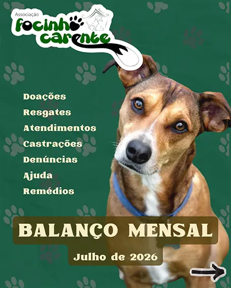 Balanço Mensal — Julho 2026 (imagem 1 de 12)
