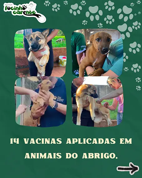Balanço Mensal — Julho 2026 (imagem 10 de 12)