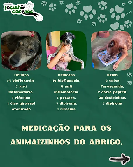 Balanço Mensal — Julho 2026 (imagem 11 de 12)