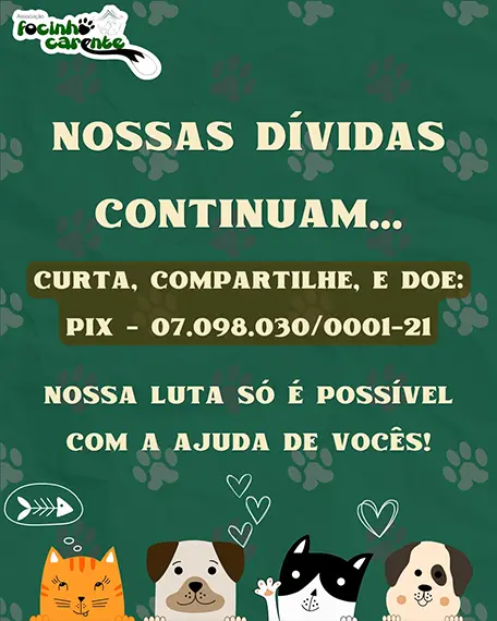 Balanço Mensal — Julho 2026 (imagem 12 de 12)