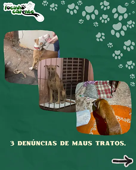 Balanço Mensal — Julho 2026 (imagem 5 de 12)