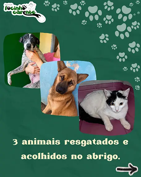 Balanço Mensal — Julho 2026 (imagem 6 de 12)