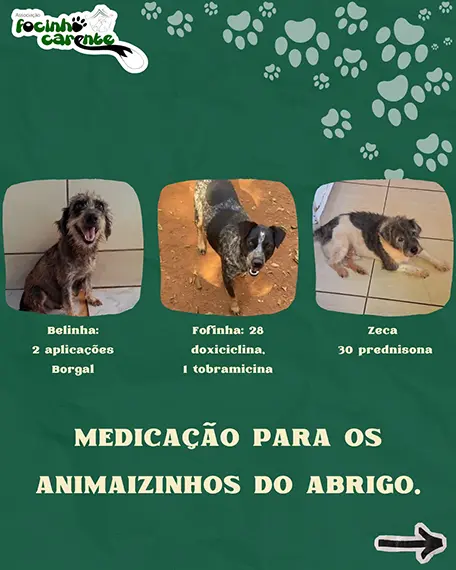 Balanço Mensal — Julho 2026 (imagem 8 de 12)