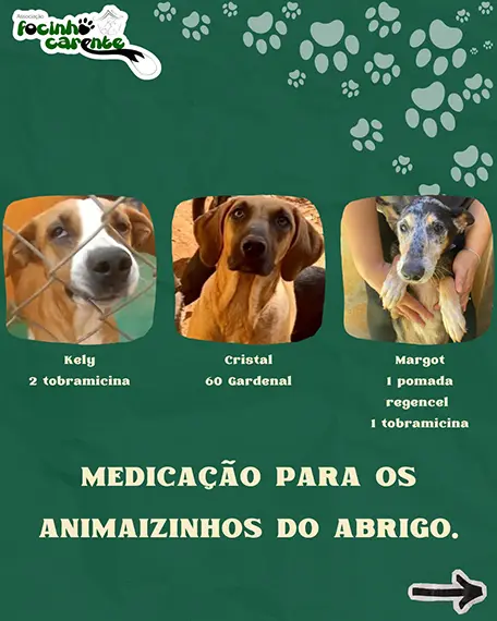 Balanço Mensal — Julho 2026 (imagem 9 de 12)
