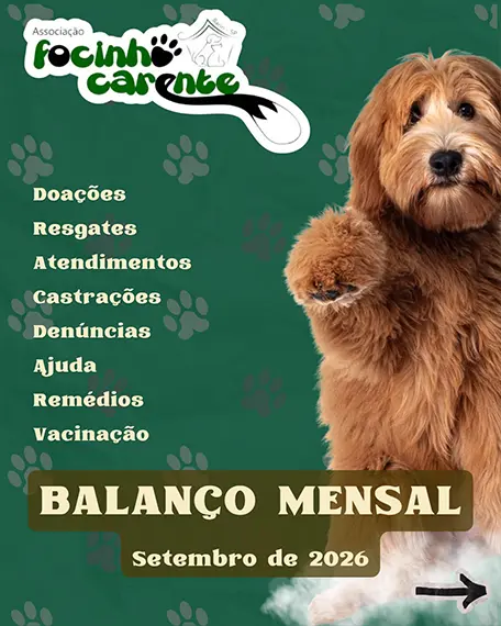 Balanço Mensal — Setembro 2026 (imagem 1 de 12)