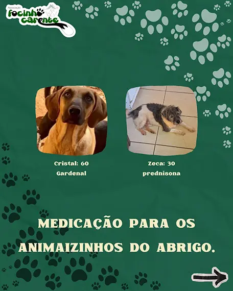 Balanço Mensal — Setembro 2026 (imagem 10 de 12)
