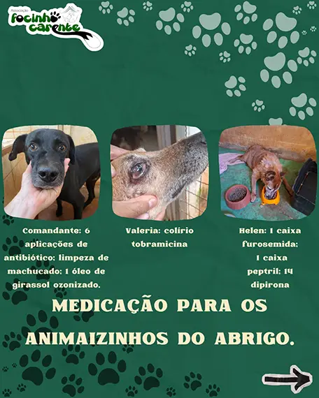 Balanço Mensal — Setembro 2026 (imagem 11 de 12)