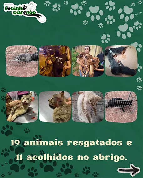 Balanço Mensal — Setembro 2026 (imagem 2 de 12)
