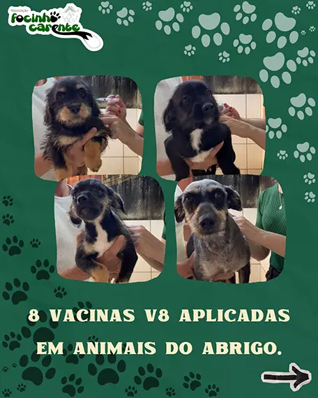 Balanço Mensal — Setembro 2026 (imagem 6 de 12)