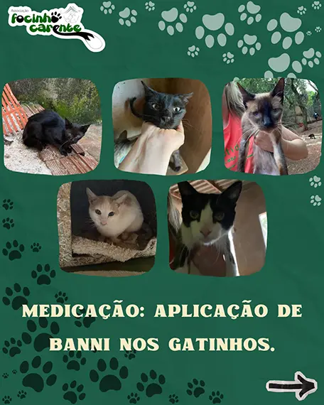 Balanço Mensal — Setembro 2026 (imagem 8 de 12)