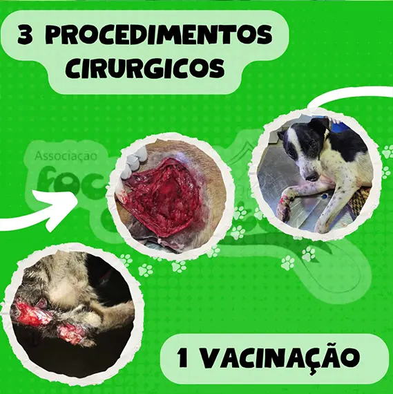 Balanço Mensal — Maio 2025 (imagem 3 de 8)