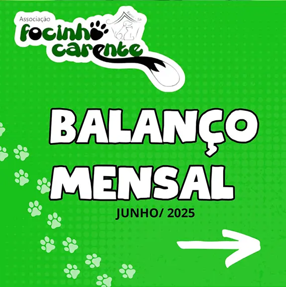 Balanço Mensal — Junho 2025 (imagem 1 de 8)