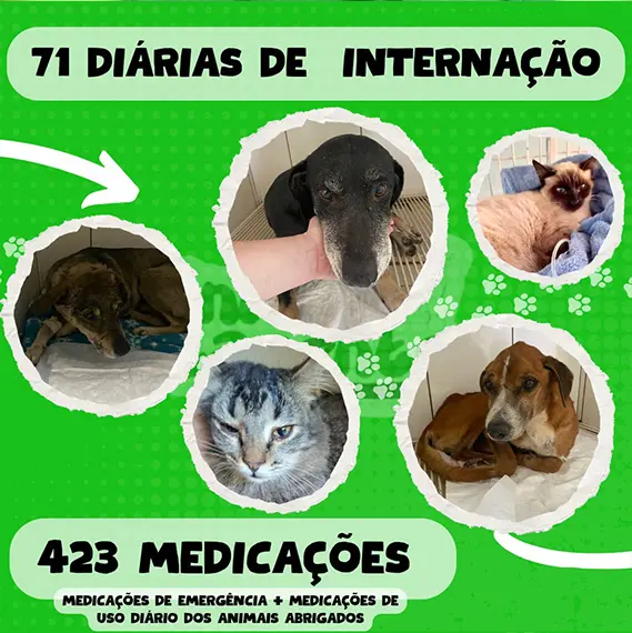 Balanço Mensal — Junho 2025 (imagem 3 de 8)