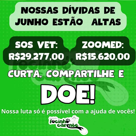 Balanço Mensal — Junho 2025 (imagem 7 de 8)