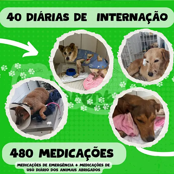 Balanço Mensal — Julho 2025 (imagem 3 de 9)