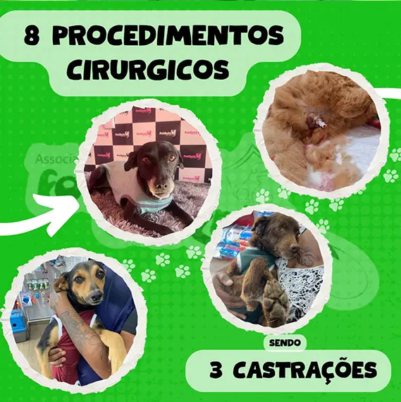 Balanço Mensal — Julho 2025 (imagem 5 de 9)