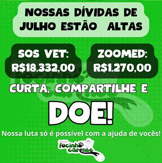 Balanço Mensal — Julho 2025 (imagem 8 de 9)