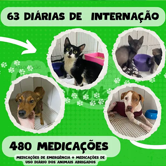 Balanço Mensal — Agosto 2025 (imagem 4 de 11)