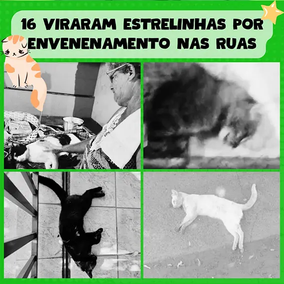 Balanço Mensal — Agosto 2025 (imagem 7 de 11)