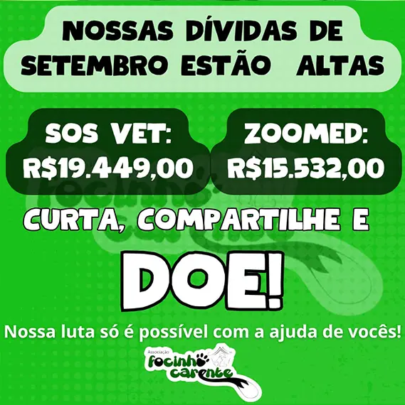 Balanço Mensal — Setembro 2024 (imagem 10 de 10)