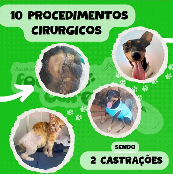 Balanço Mensal — Setembro 2024 (imagem 2 de 10)