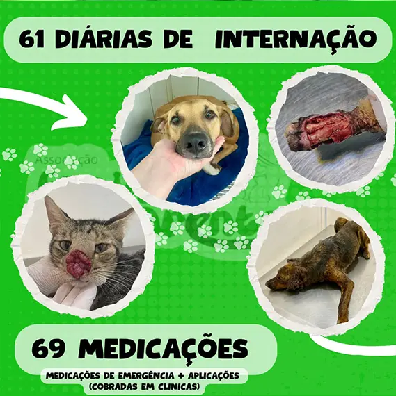 Balanço Mensal — Setembro 2024 (imagem 3 de 10)