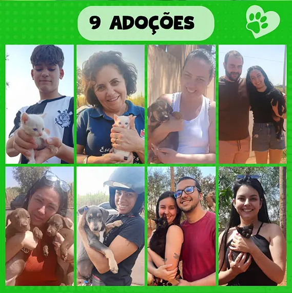 Balanço Mensal — Setembro 2024 (imagem 7 de 10)