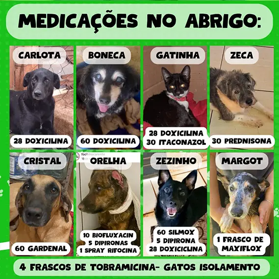 Balanço Mensal — Setembro 2024 (imagem 9 de 10)