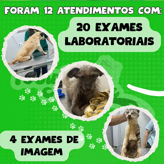 Recursos próprios e balanço — Janeiro 2026 (imagem 1 de 11)