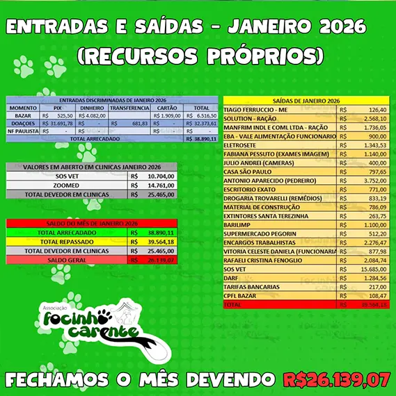 Recursos próprios e balanço — Janeiro 2026 (imagem 2 de 11)