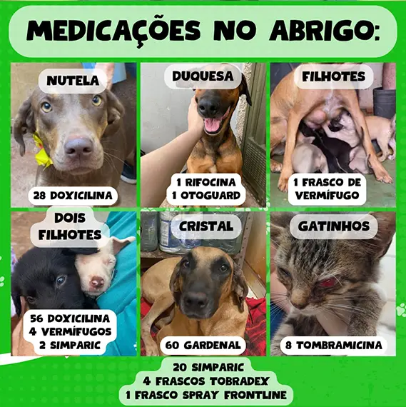 Recursos próprios e balanço — Janeiro 2026 (imagem 3 de 11)