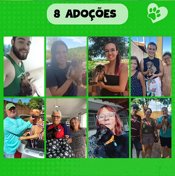 Recursos próprios e balanço — Janeiro 2026 (imagem 5 de 11)
