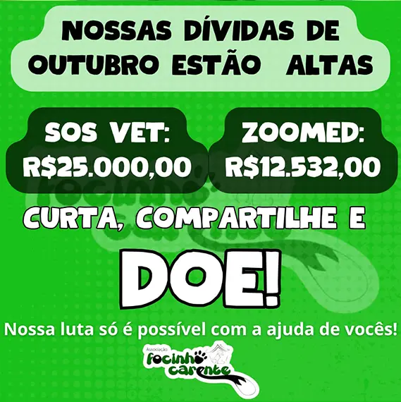 Balanço Mensal — Outubro 2024 (imagem 10 de 11)