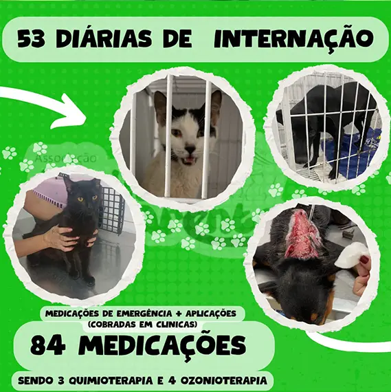 Balanço Mensal — Outubro 2024 (imagem 4 de 11)