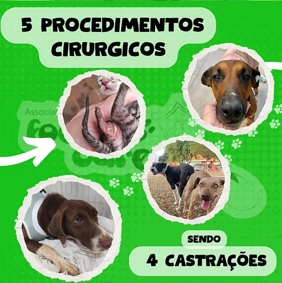 Balanço Mensal — Outubro 2024 (imagem 5 de 11)