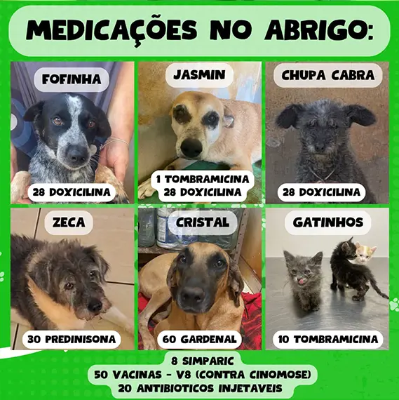 Balanço Mensal — Novembro 2024 (imagem 4 de 9)