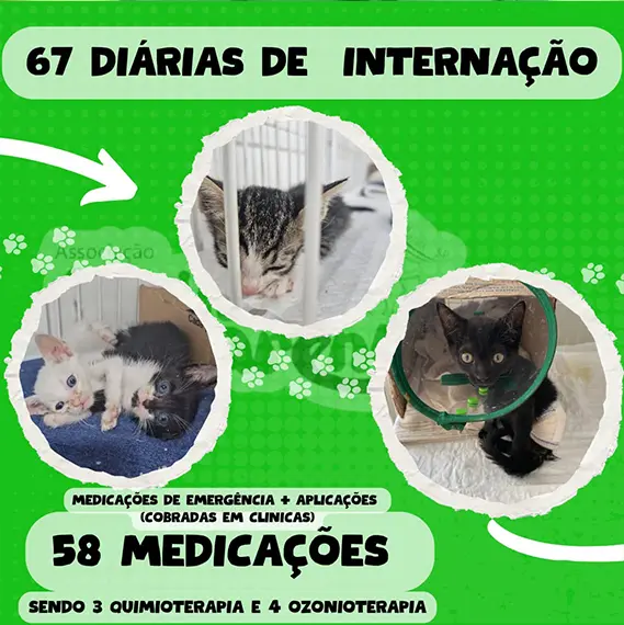 Balanço Mensal — Novembro 2024 (imagem 9 de 9)