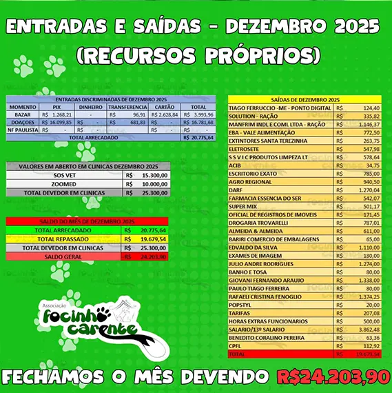Balanço Mensal — Dezembro 2024 (imagem 10 de 10)