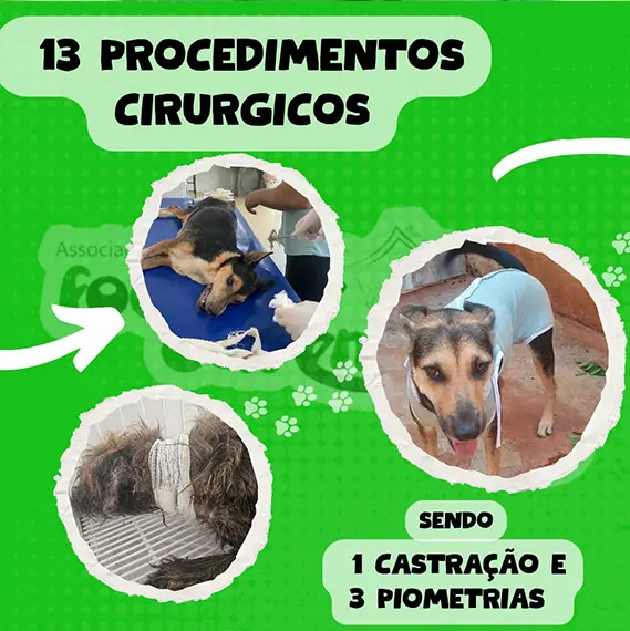Balanço Mensal — Dezembro 2024 (imagem 2 de 10)